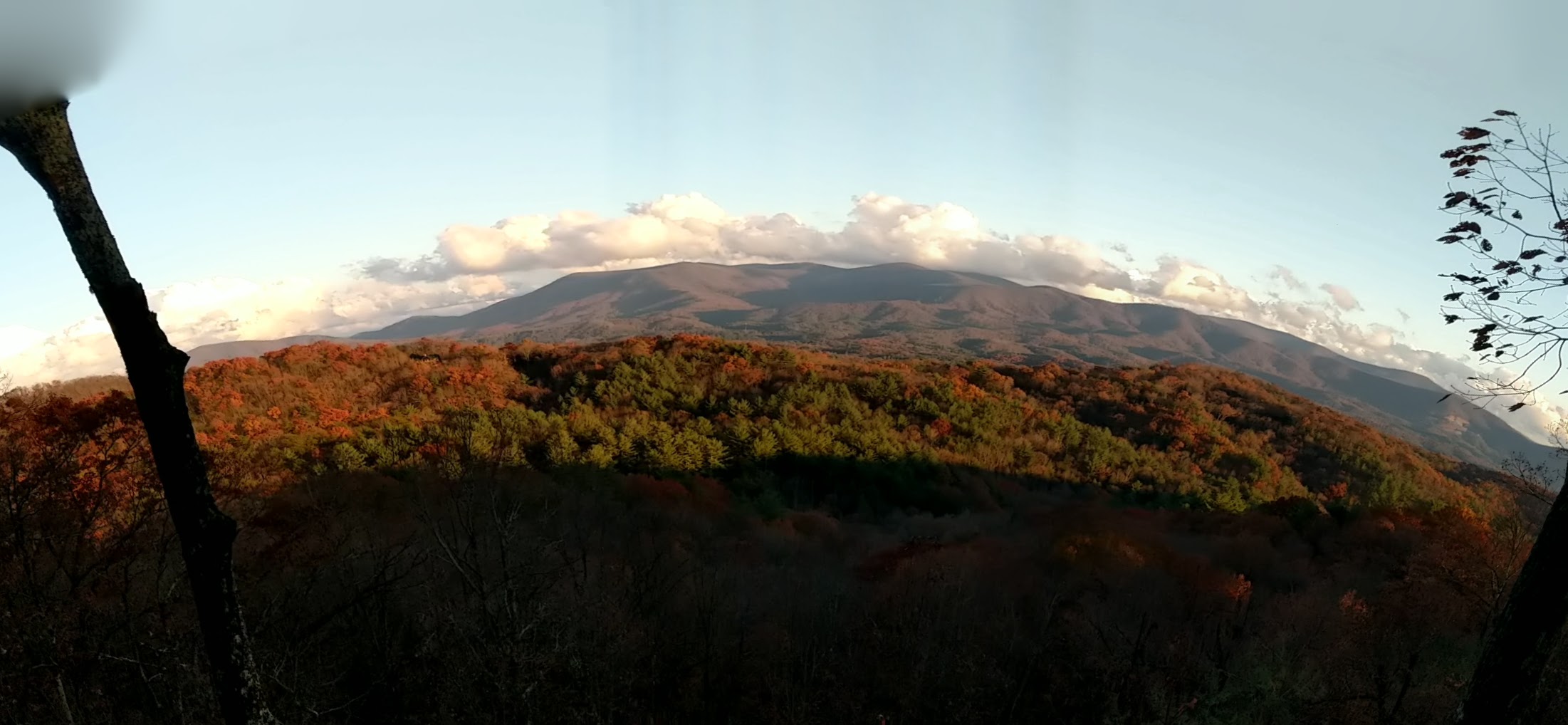 A framed mountain view through the trees.